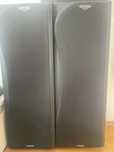 Kolumny tonsil voyager 350w