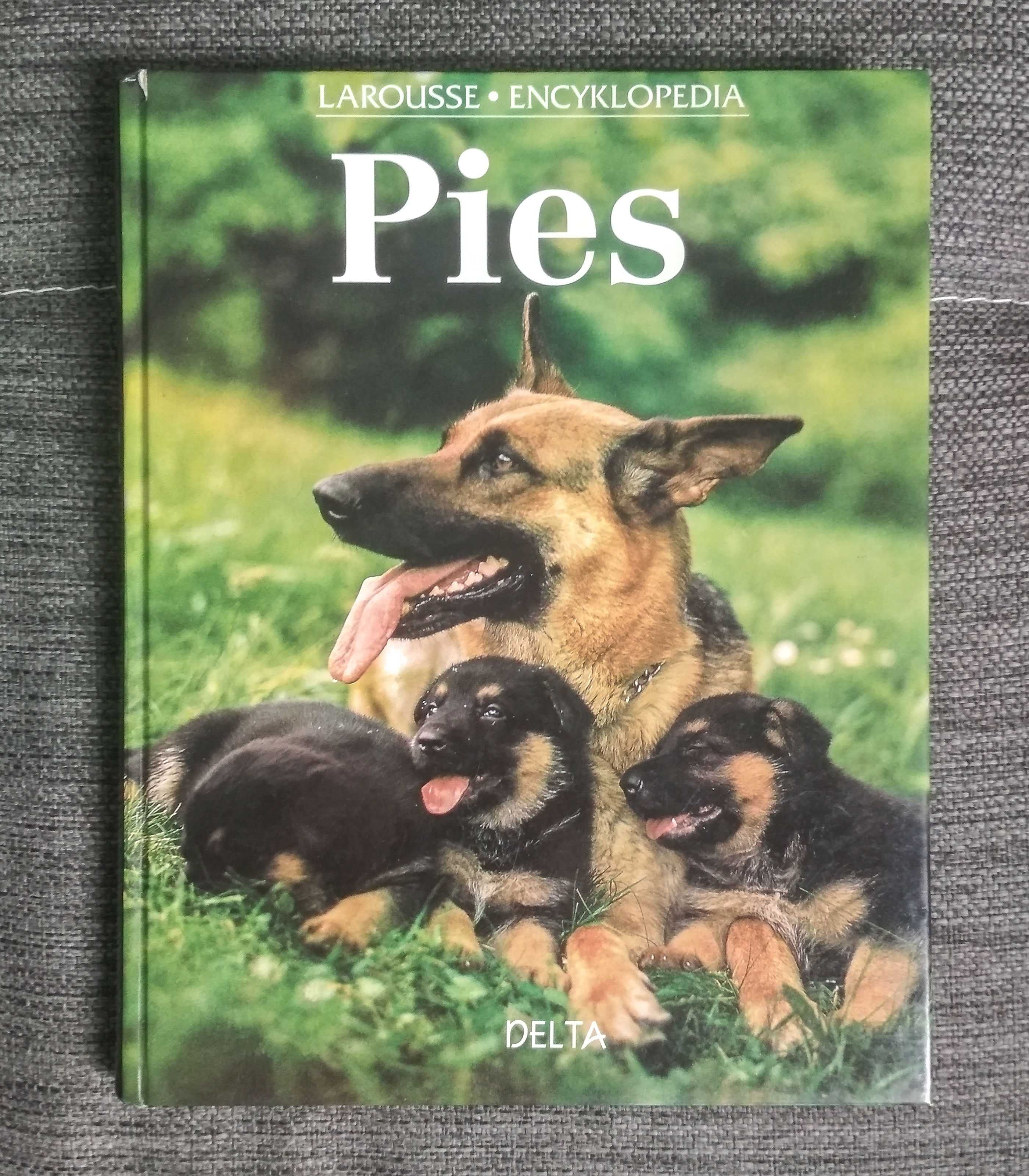 Pies - Larousse • Encyklopedia (Pierre Rousselet-Blanc)