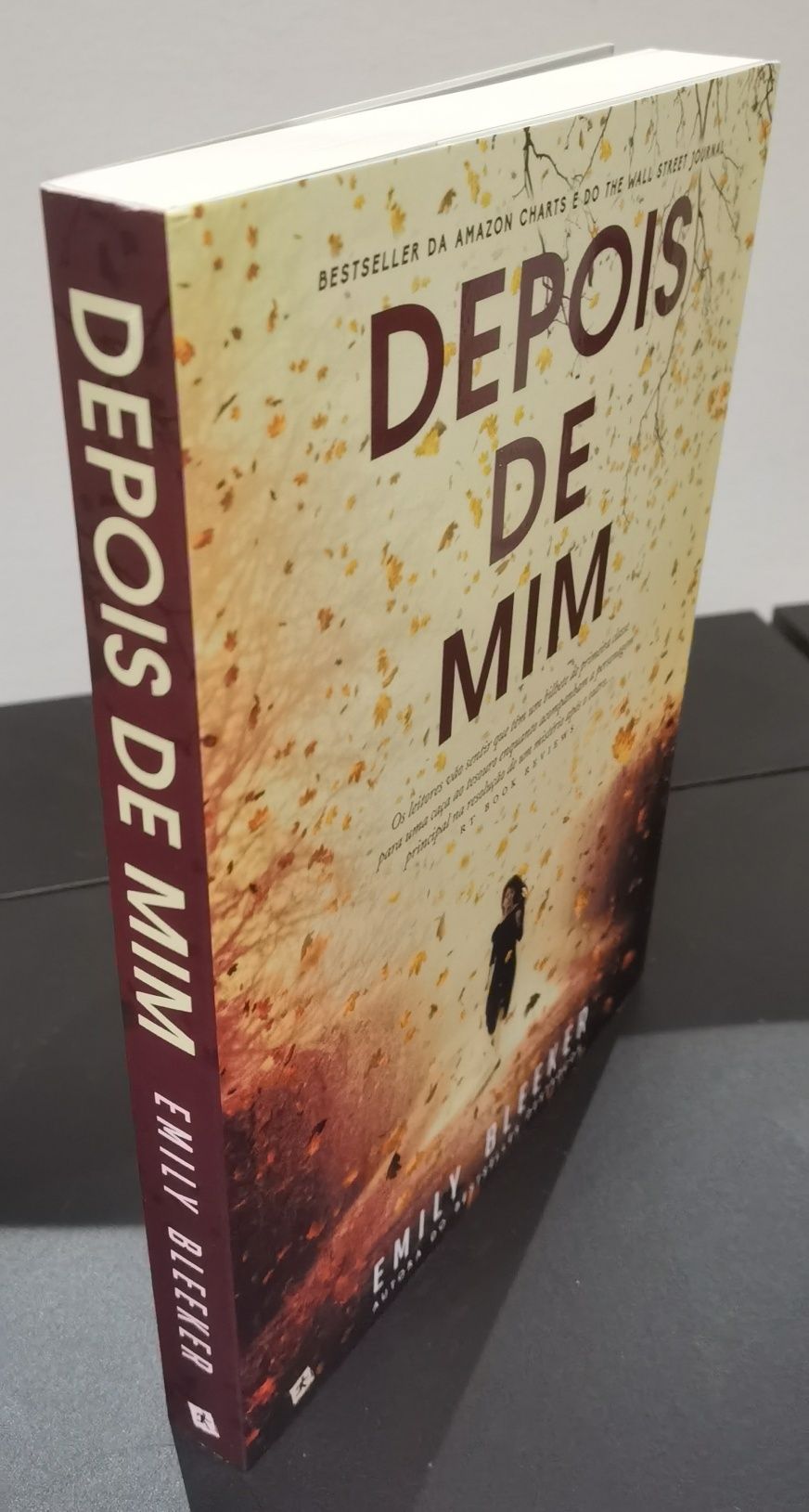 Depois de Mim (Emily Bleeker)