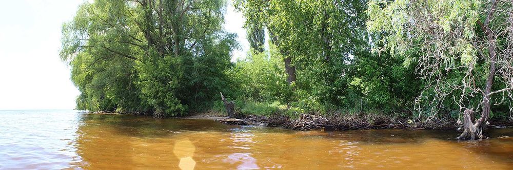 Ексклюзивна земельна ділянка у селі Козаровичі площею 4, 1497 га