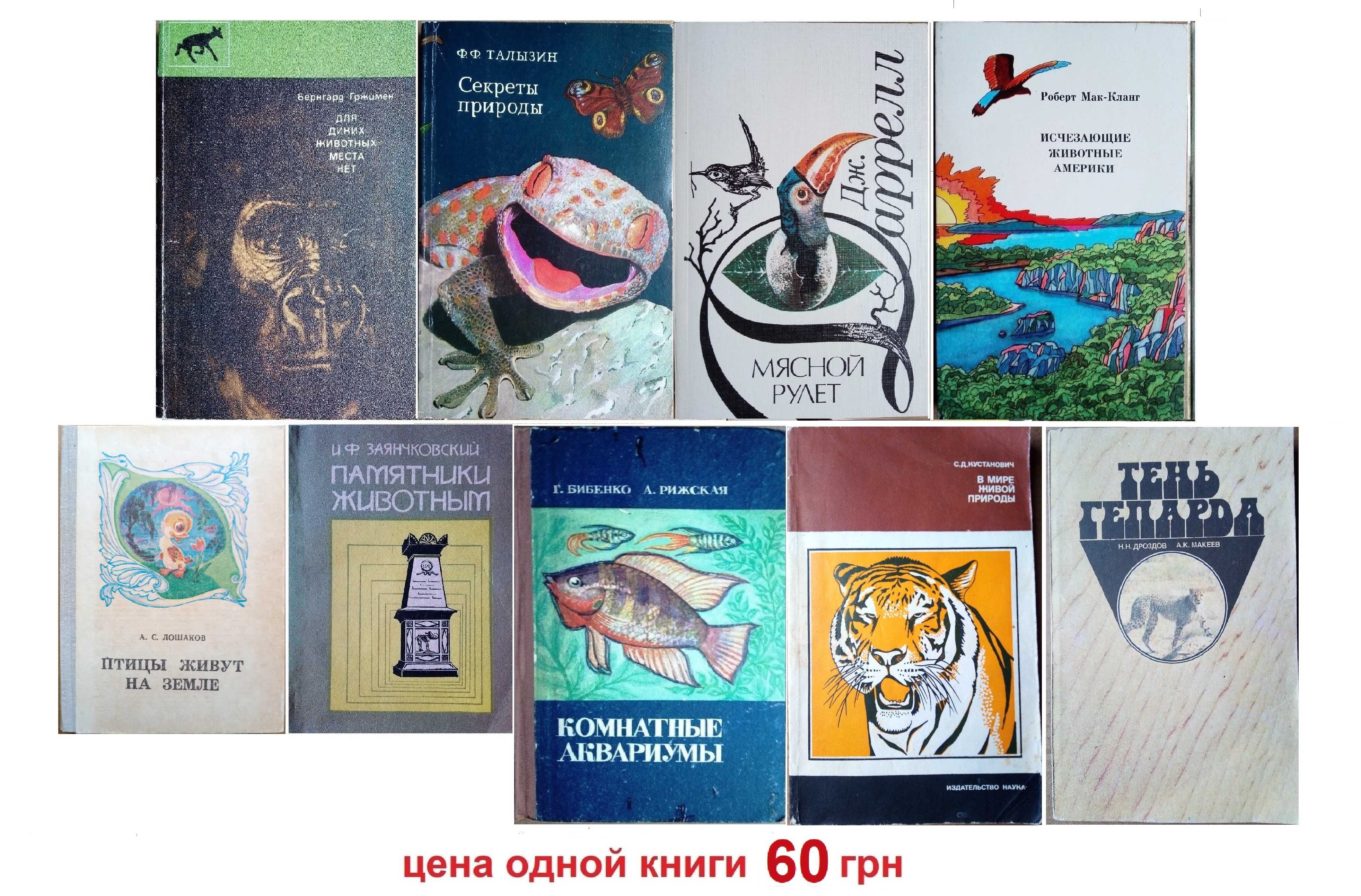 Кошки/ Собаки/ Домашние и дикие животные/ Жизнь животных