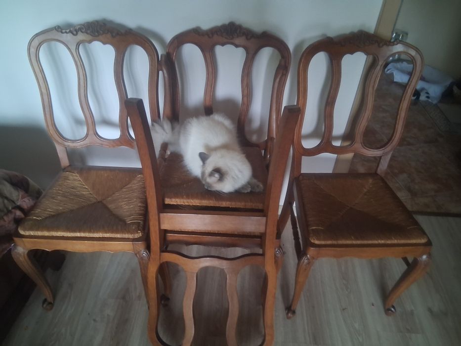 Krzesła dębowe Ludwik