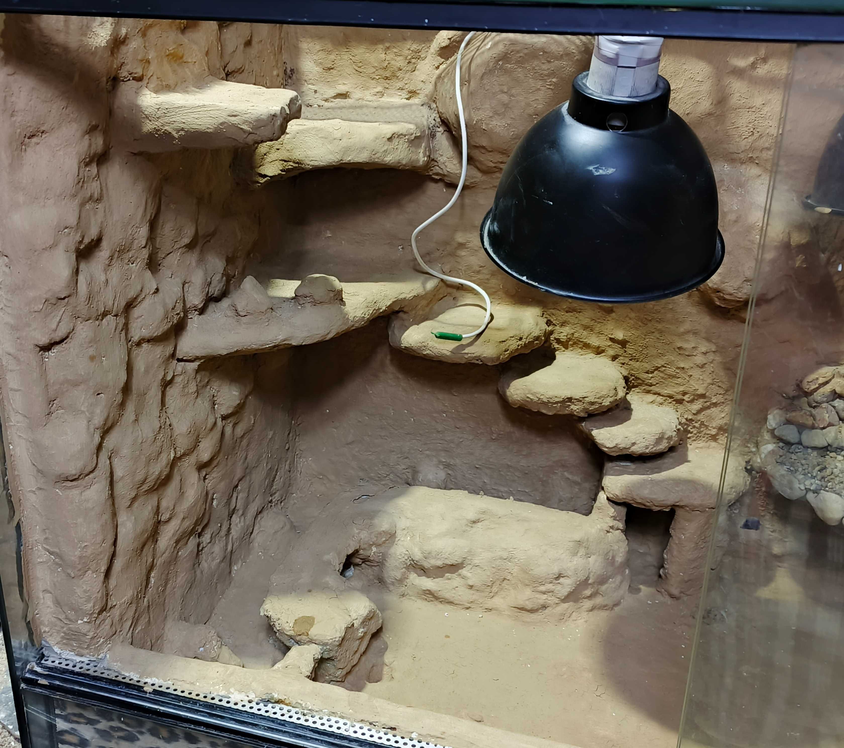 Terrarium wyposażone
