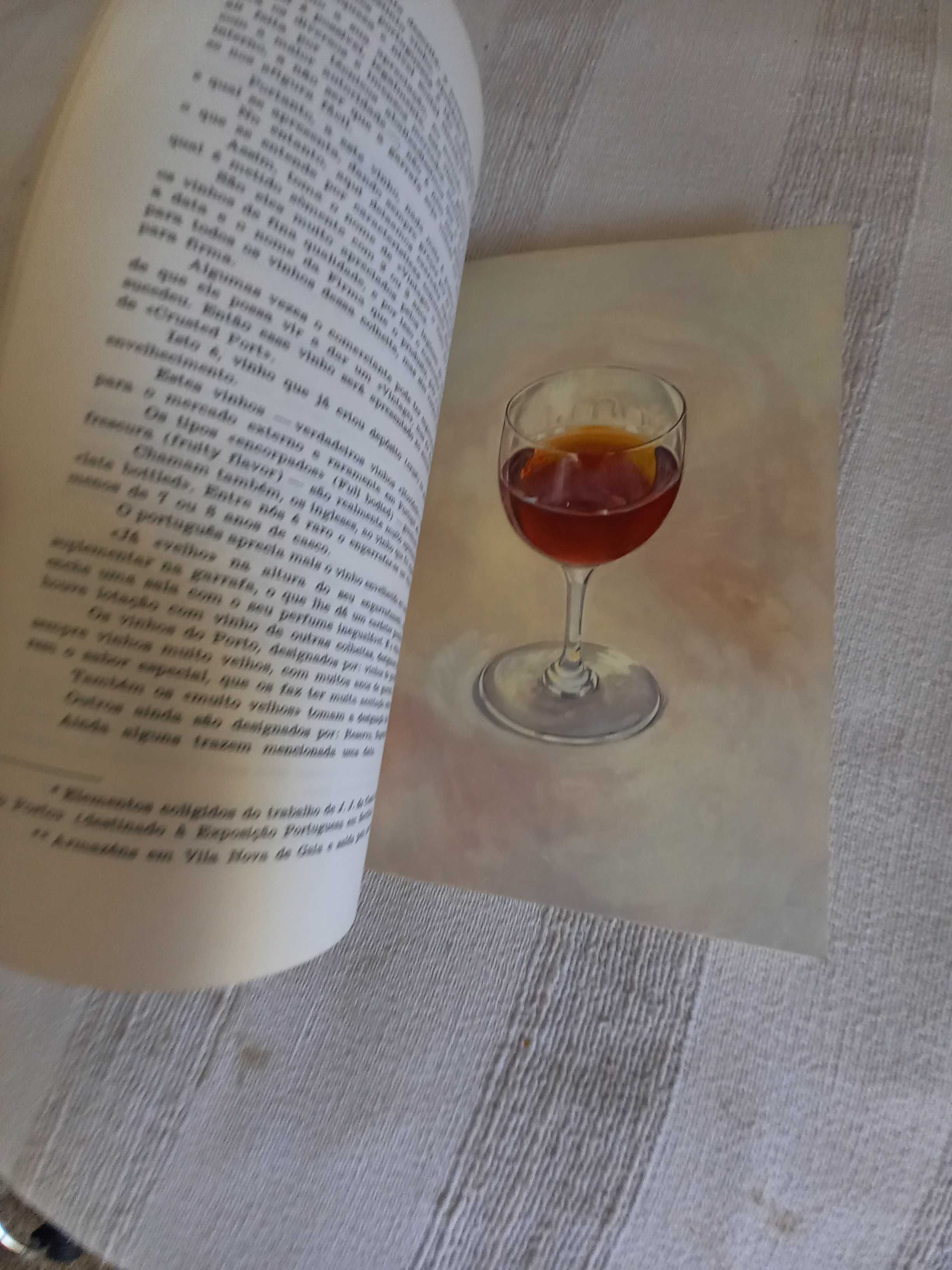 Livro antigo sobre Prova de Vinhos de Lopes Vieira