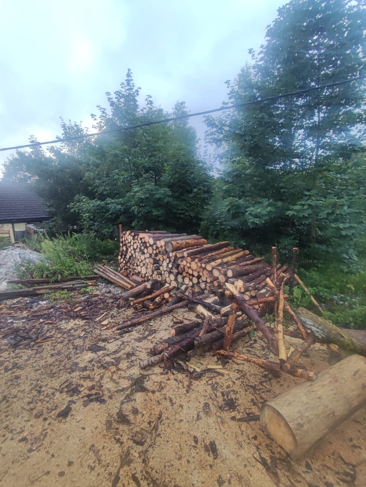 drzewo opałowe kominkowe