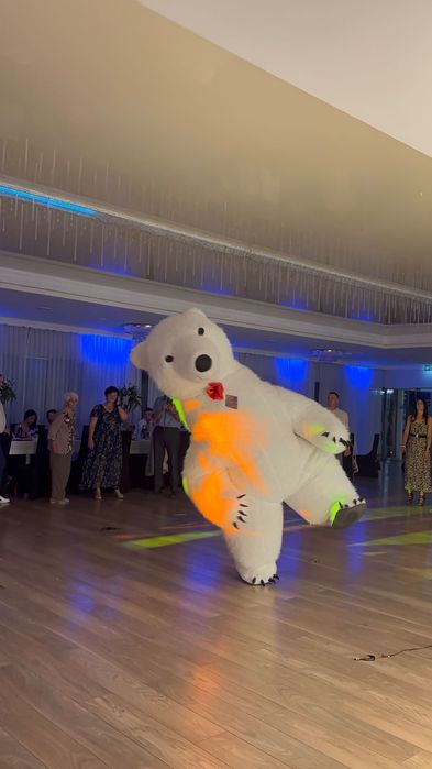 Biały miś Teodor rozkręci twoją imprezę!