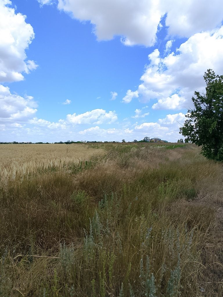 Срочно продам 4 гект, земли,на трассе , до круга,7км от хозяина