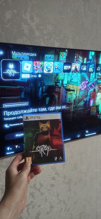 Stray PS5, гра, диск
