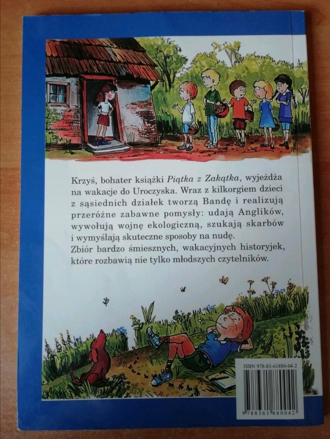 Książka "Banda z uroczyska" Krystyna Drzewiecka