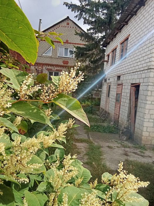 Будинок для великої родини.Продаж!Торг можливий.