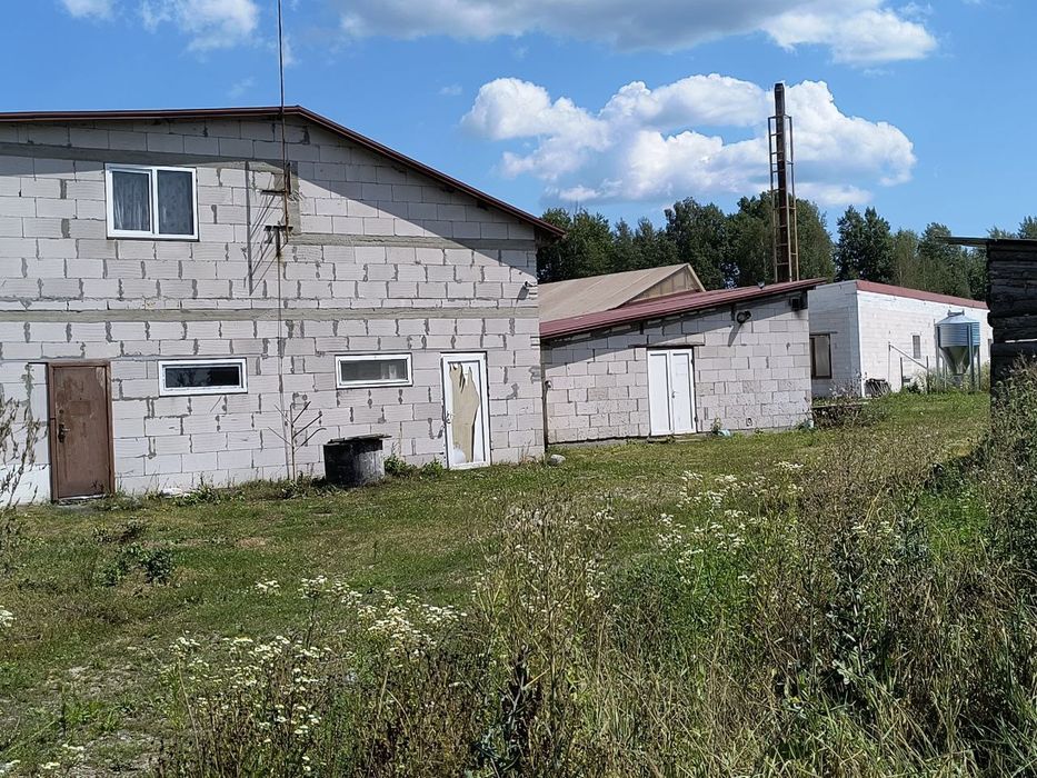 Ферма для вирощування птиці.