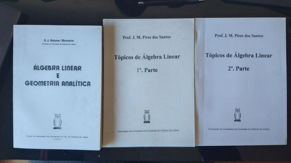 Manuais de matemática 1996 FCT