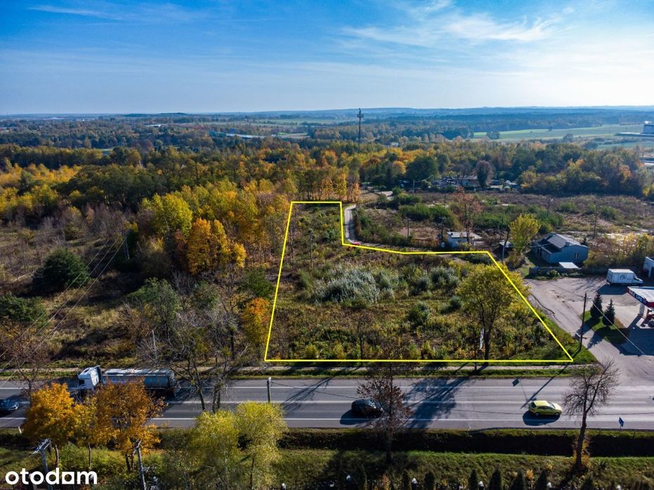 ✨Ruch, widoczność, potencjał ✨