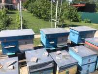 Продаж вуликів для бджіл