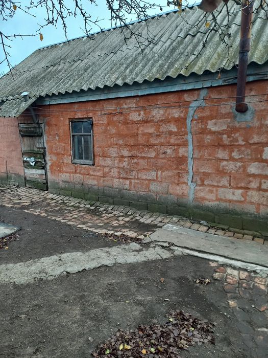 Продаж будинку в селi Чистопiль