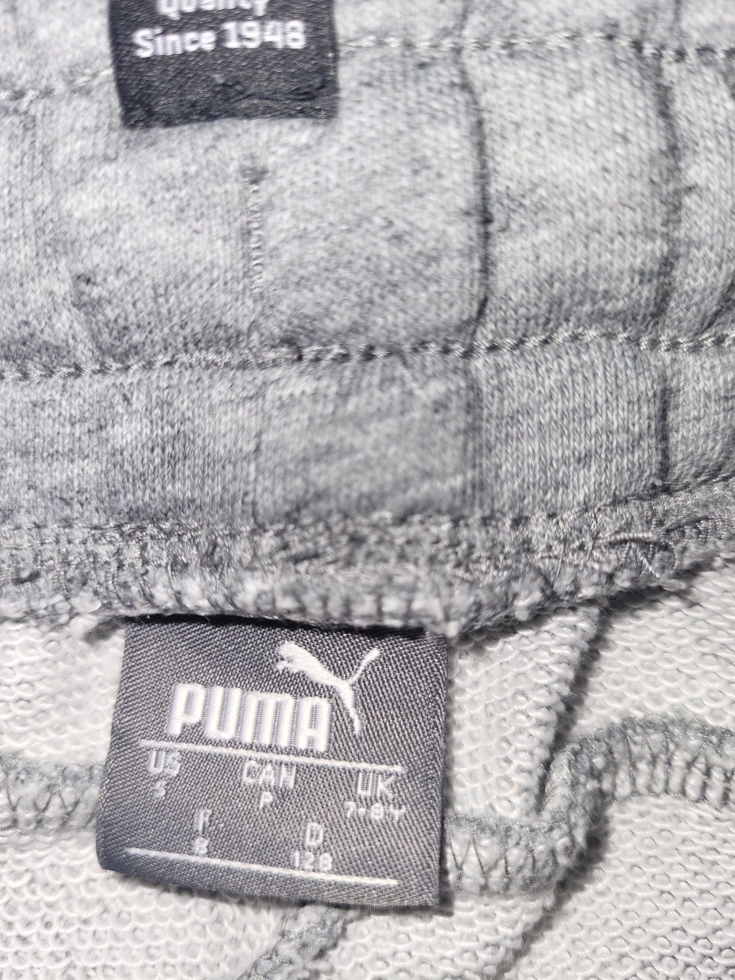 Dres Puma zestaw spodnie i bluza rozmiar 128 / 7-8Y