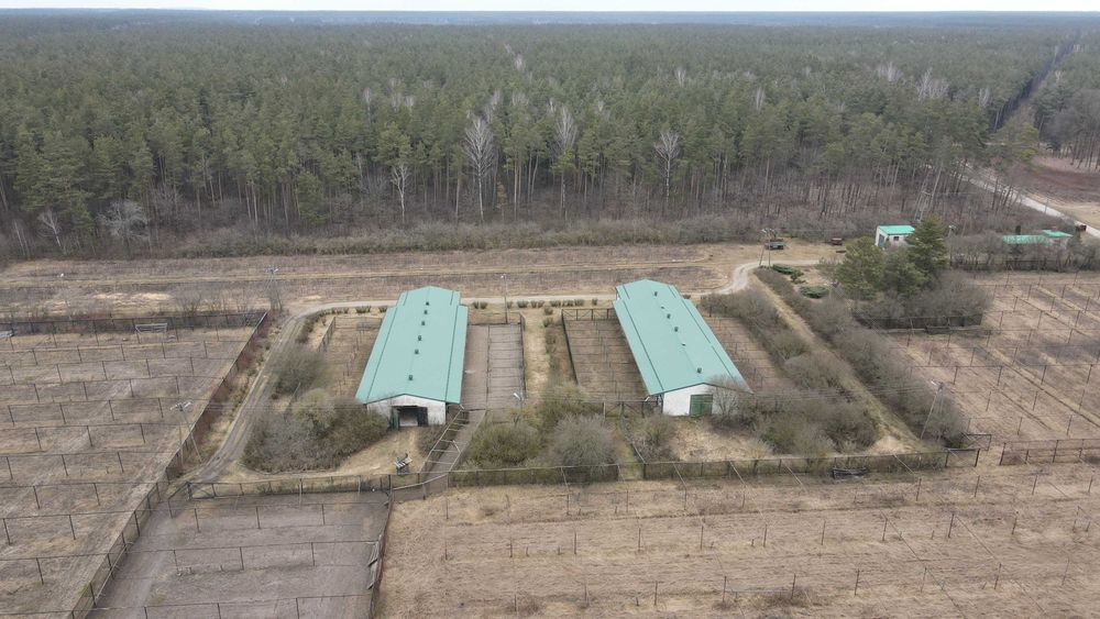 Bażantarnia -dzierżawa gruntu z budynkami, woliery, kurniki