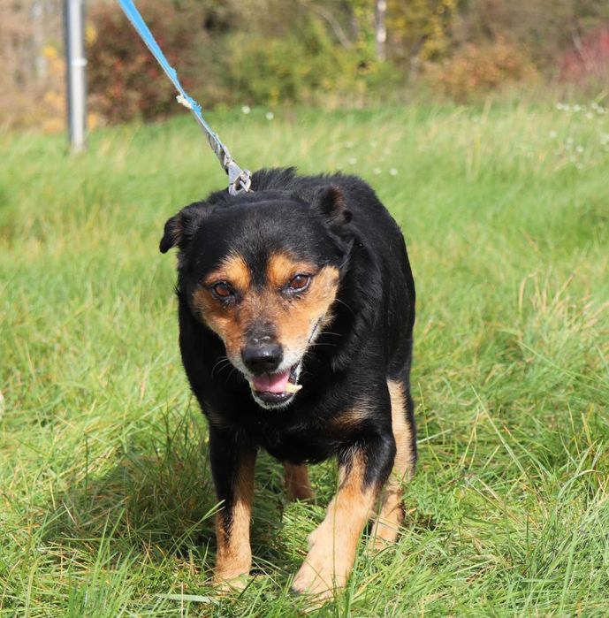 Atom – kochany senior pełen radości