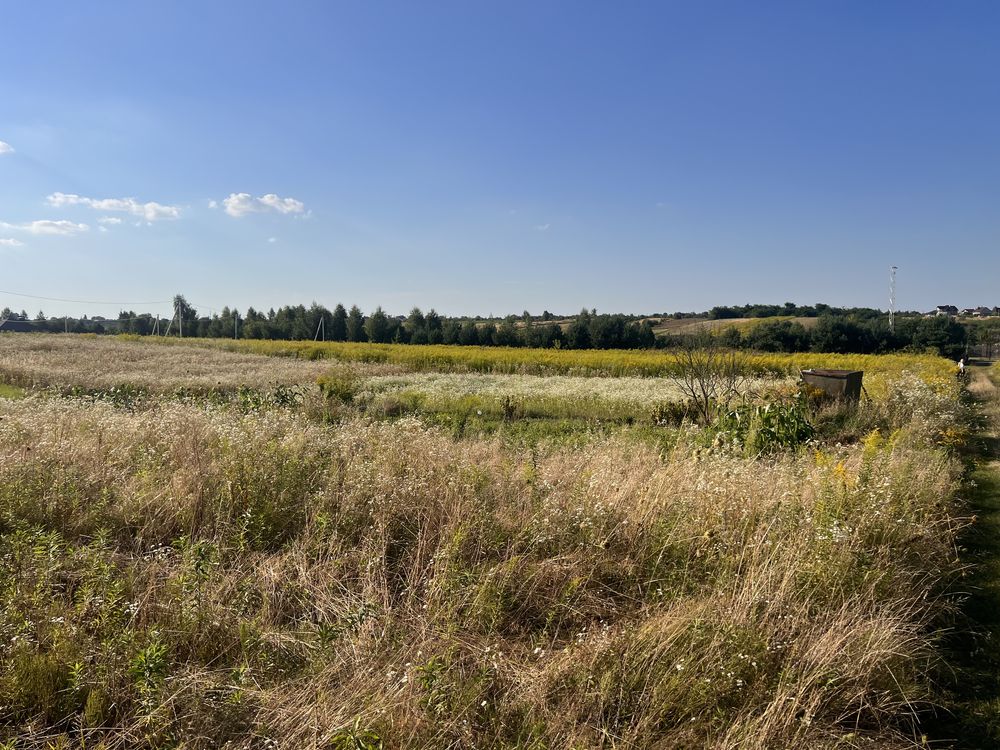 с Тарасове 16,9 сот 100метрів від дороги 31 маршрутка