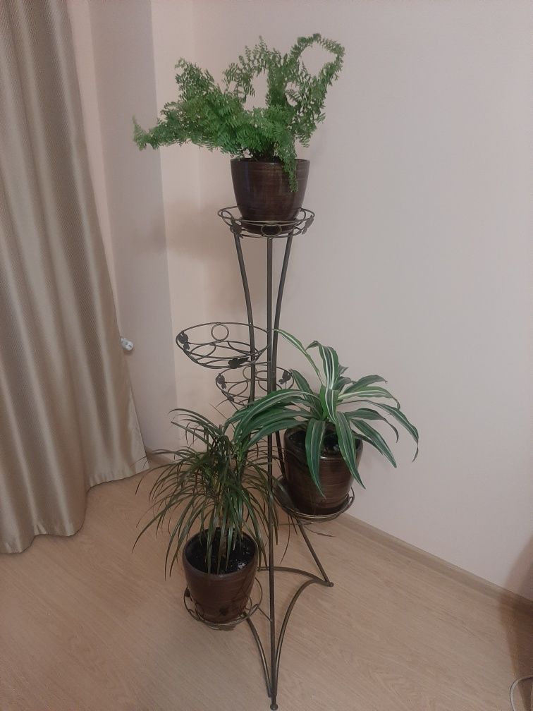 Підставка для рослин на 5 вазонів