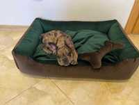Лежак Изумруд для собак и кошек 50х30 см. съемные чехлы + подарок