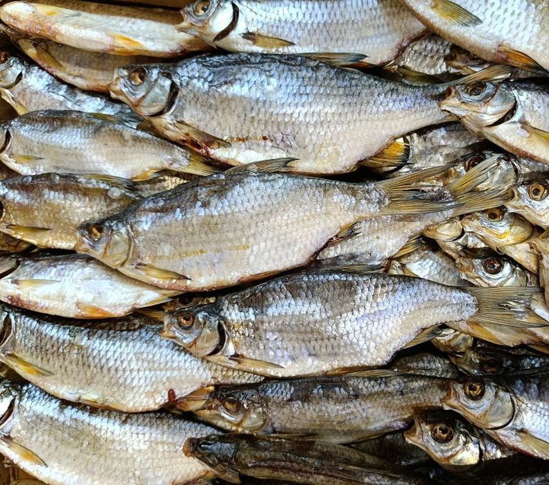 Тарань ( плотва ) с молодой икрой, балык толстолоба, щука вяленая