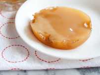 SCOBY de Kombucha