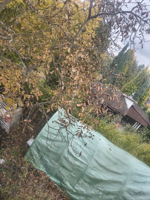 Szklarnia 15m2, Namiot ogrodowy,, Stelaż XL