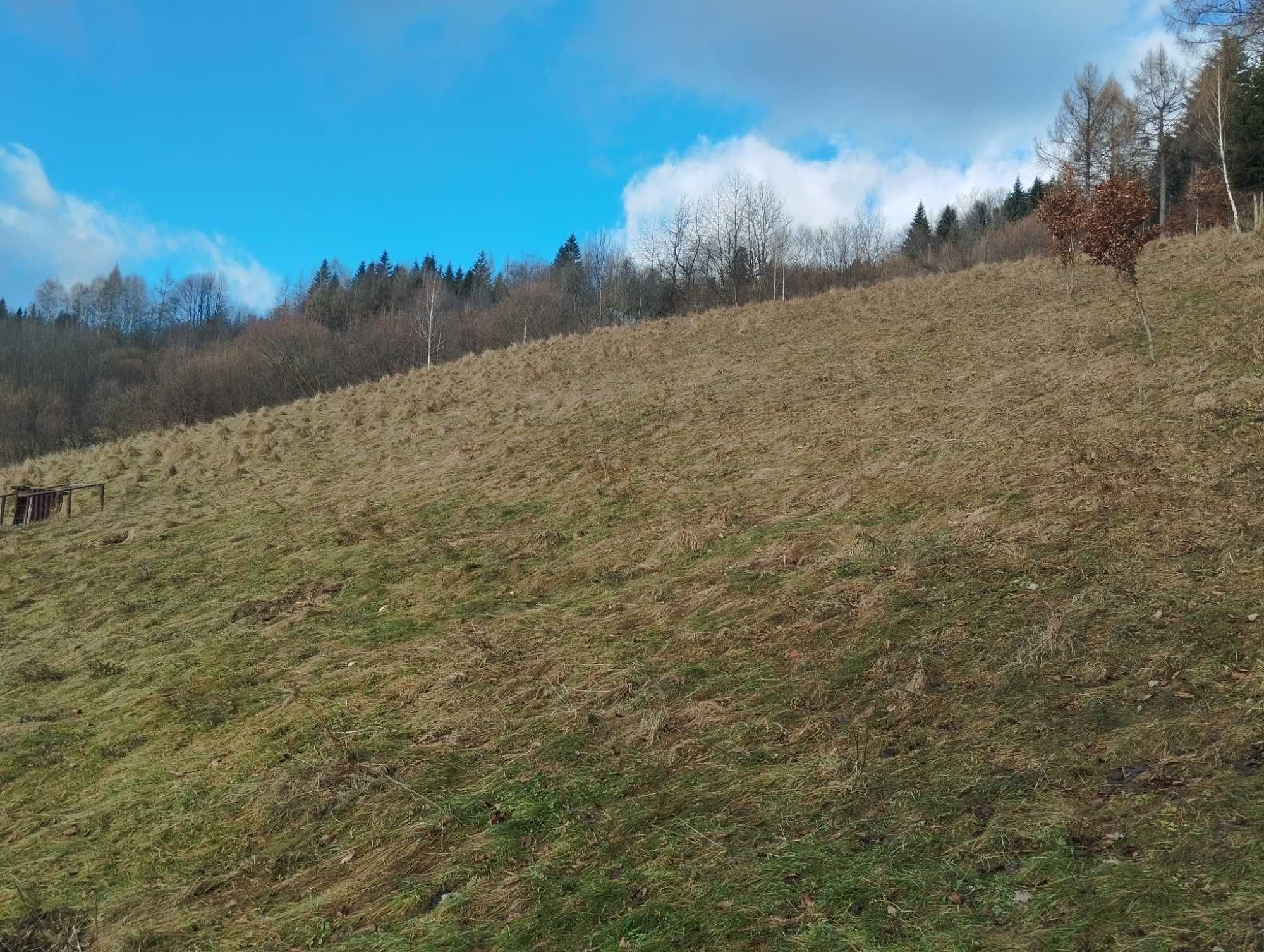 Ogłoszenie Aktualne Działka z widokiem na uzdrowisko Szczawnica