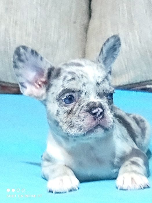 Маленькие непоседы.