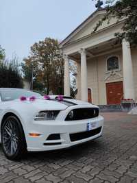 Mustang GT 5.0 do ślubu, biały | Terminy 2024