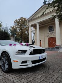 Mustang GT 5.0 do ślubu, biały | Terminy 2023