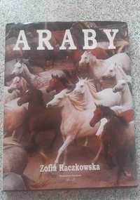 Araby - Zofia Raczkowska