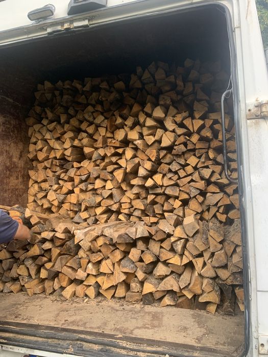 Вільха береза паливні сосна