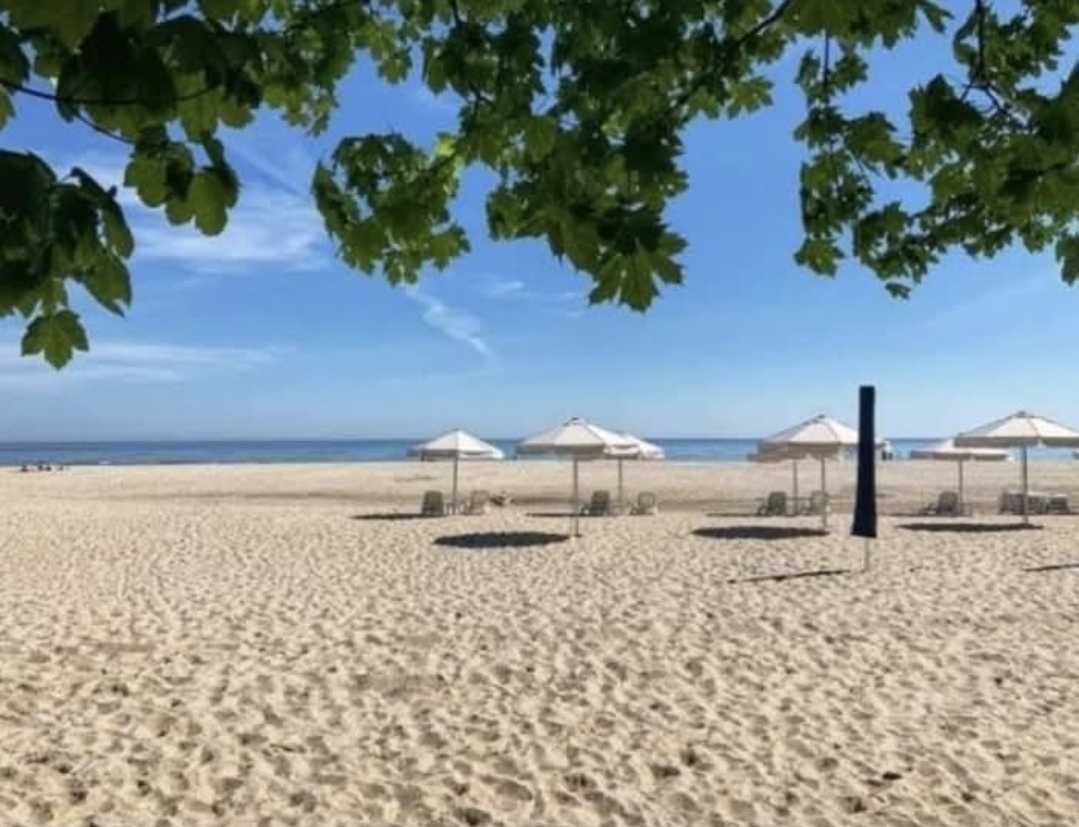 Pole namiotowe Jastrzębia Góra nad samym morzem