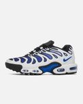 Мужские кроссовки Nike Air Max Plus Drift "Concord" G. Размеры 41-45