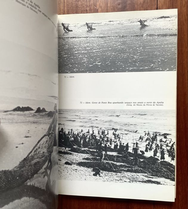 Veiga de Oliveira, Galhano - Actividades Agro-Marítimas em Portugal