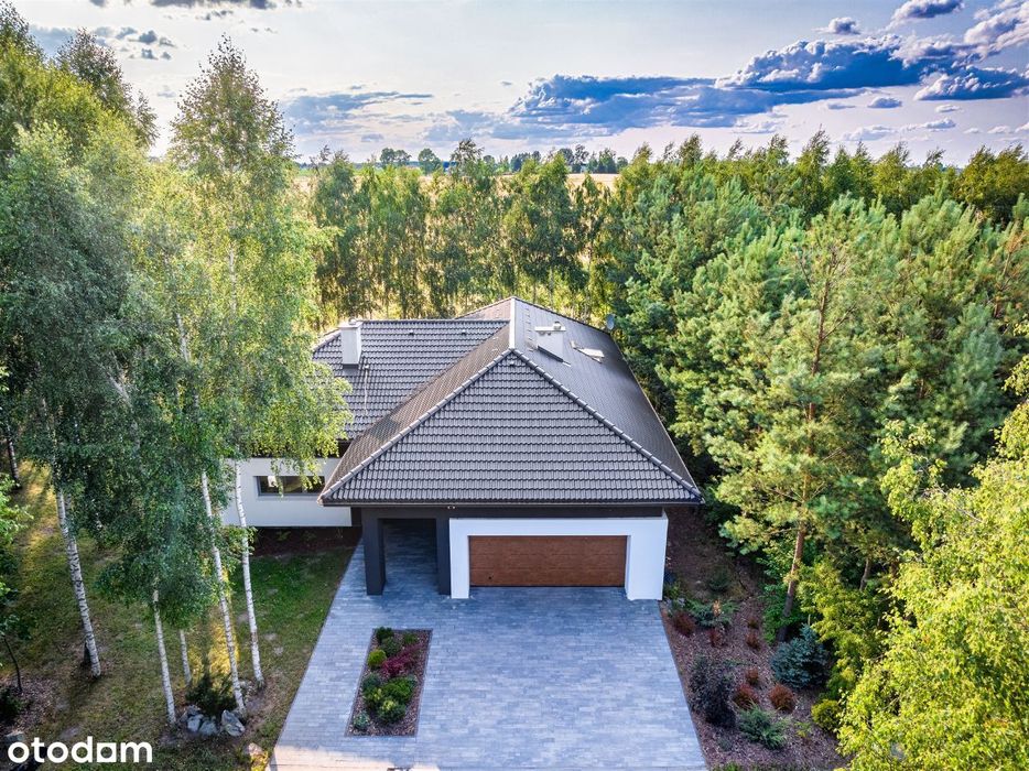 Nowoczesny dom 262,95 m² w otoczeniu lasu – cisza, przestrzeń i natura
