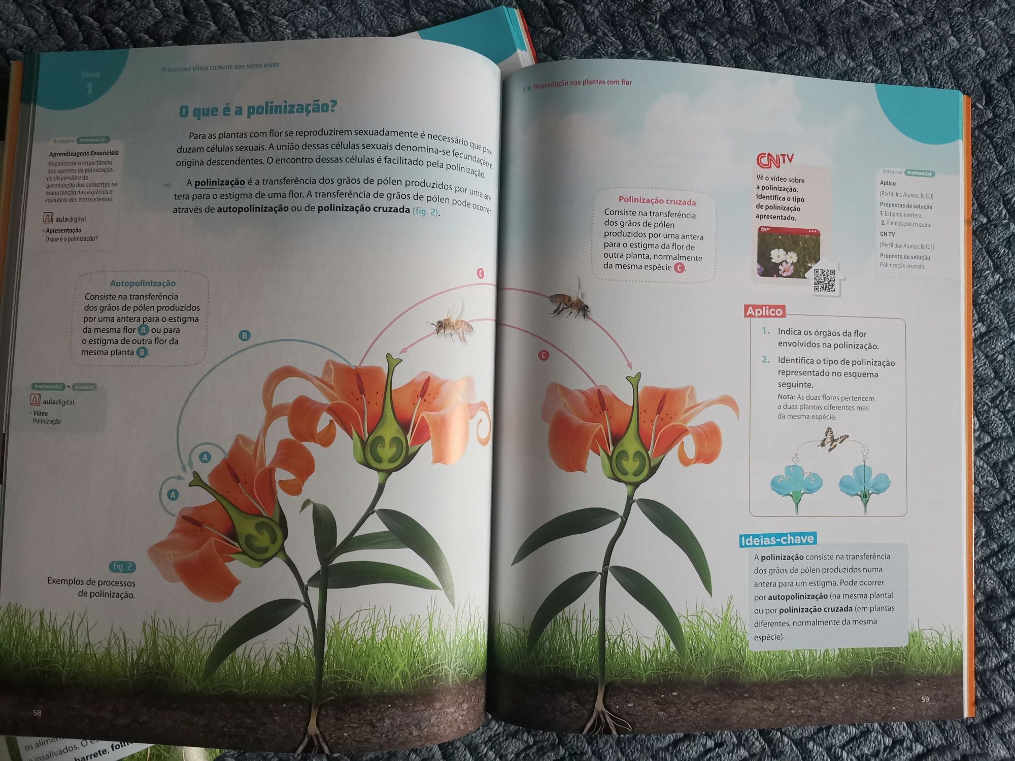 Manual novo Ciências da natureza - ADN 6