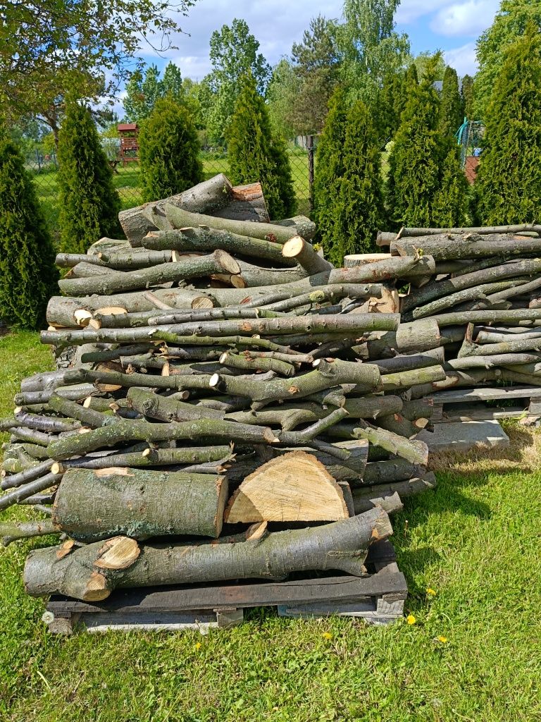 Drzewo na opał lipa, kasztan