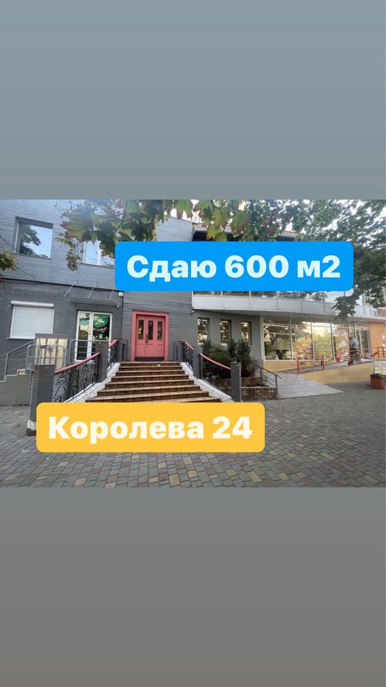 Сдаю Магазин Спортзал 600м2‼️ Свой вход с 1 этажа Королева / Вузовский