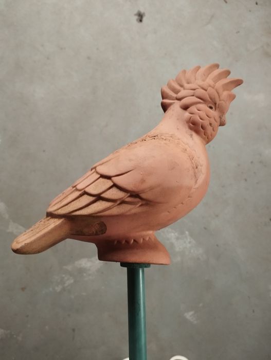 Ozdoba ogrodowa ceramiczna papuga