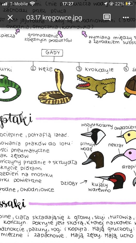 Notatki maturalne matura polski angielski matematyka