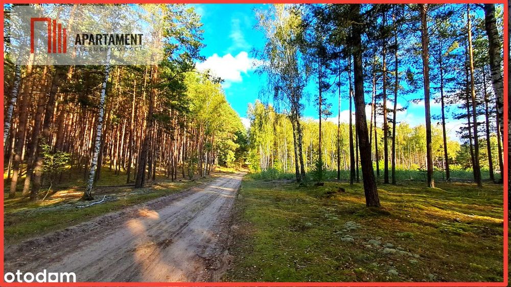 Duża działka rekreacyjna blisko jeziora!!!