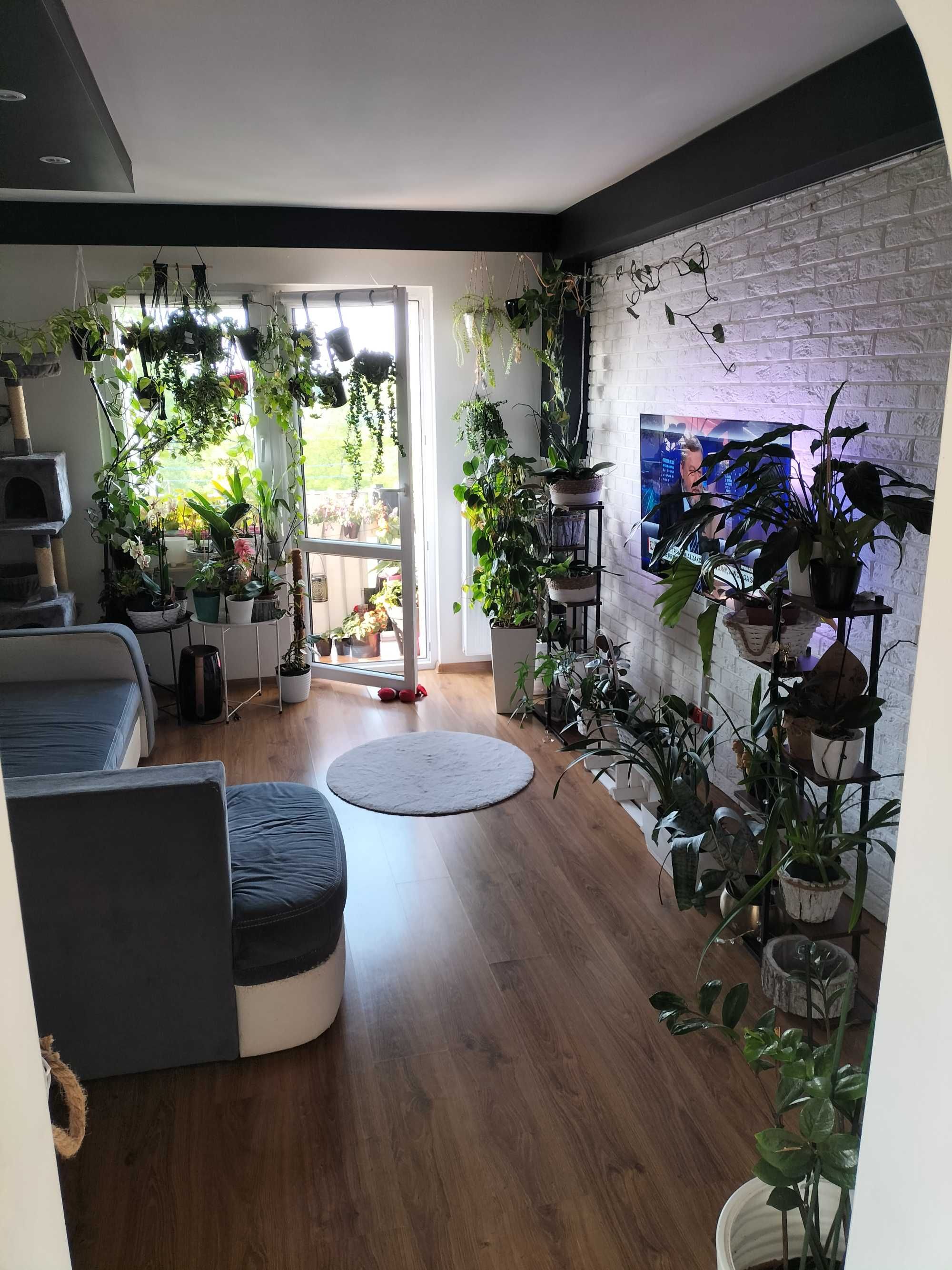 2-pokojowe mieszkanie 46,25 m² z 2 balkonami + garaż + piwnica