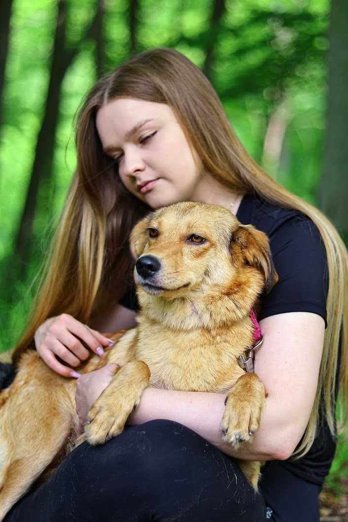 WERBENA , 2-letnia, 12kg, łagodna, cudowna. [FILMIKI]