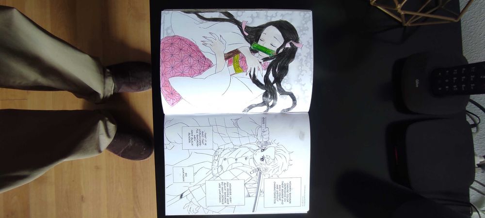 Vários Livros de Manga com vários preços! como novos!