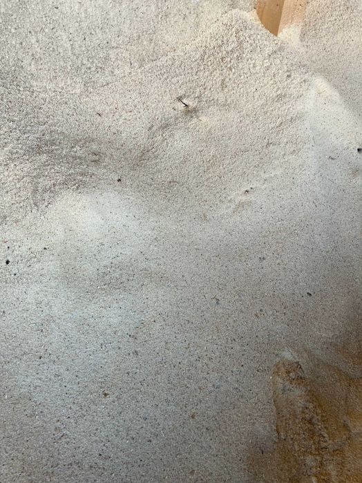 Дерев'яна стружка / тирса