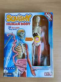 Тело человека. Squishy Human body. Новый!