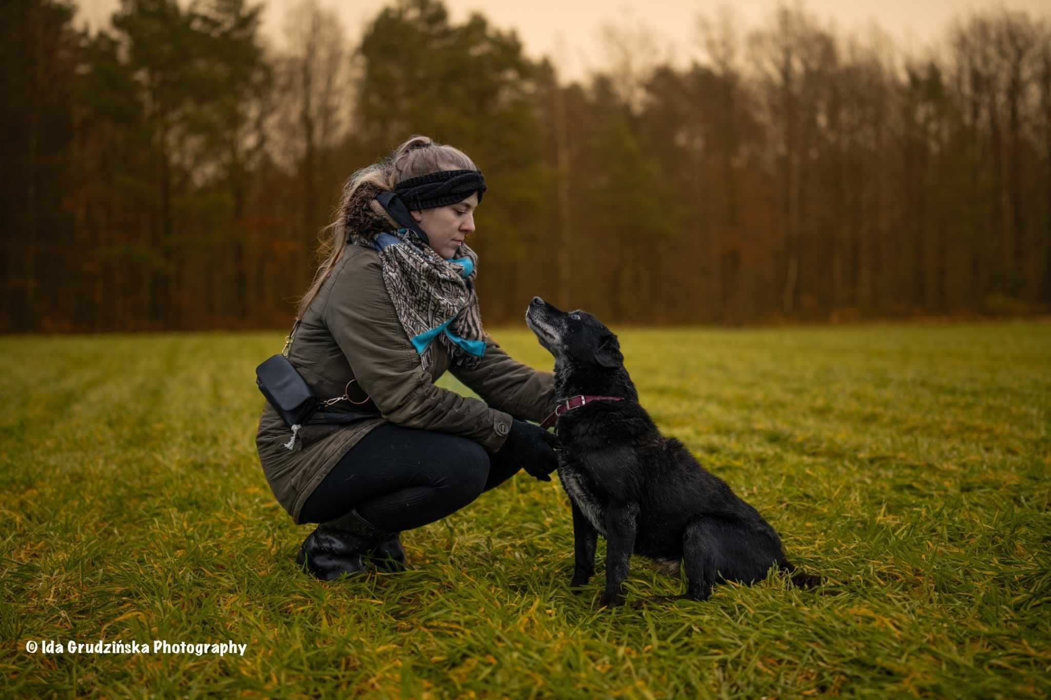 MAGIK dojrzały labrador szuka domu stałego 10letni 16kg czarny